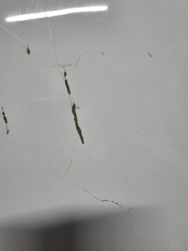 фото thumb №9, Капот кришка двигуна citroen c5 aircross grad