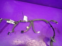 фото thumb №4, Scenic iii 3 жгут дверь правый задняя 241263410r