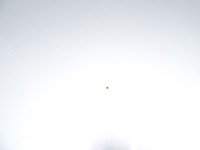 фото thumb №7, Капот крышка двигателя audi a5 8t b8 3d coupe lx7w