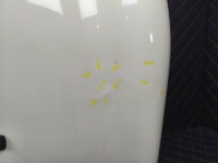 Mini one cooper s r50-53 01-06 капот крышка двигателя лак 850/0 Недорого, фото thumb