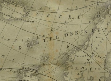 1835r. Stara Mapa roślinności Europy 42x32 cm