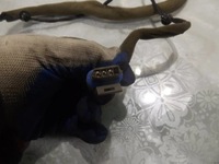 фото thumb №6, Aveo t250 3d жгут дверь левый перед