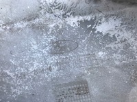 фото thumb №6, Уголок бампера задняя правый ford transit tourneo