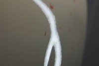 Дверь правый  задняя mini cooper r55 d1649 Оригинал, фото thumb