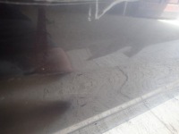 фото thumb №3, Двері праве передні перед toyota rav rav4 5 v 19-