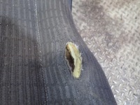 фото thumb №5, Vw transporter t4 сиденье перед левый водителя