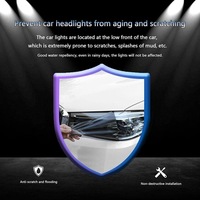 фото thumb №6, Фара автомобильный пленка dla lexus gs 2015 2016