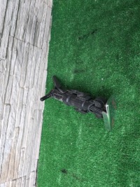 фото thumb №1, Омыватель лампы mini r56 правый