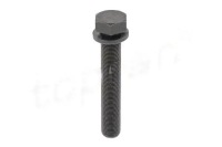 Купить Болт колеса шкивный 109 336 topran, фото thumb