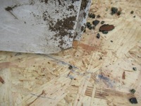 фото thumb №7, Дверь задняя правое citroen c3 picasso