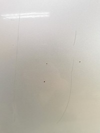 фото thumb №5, Ford ranger iv lift 2009/2012 двері ліва задня повний