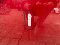 фото thumb №3, Lexus rx iv 4 rx450h дверь передние левая