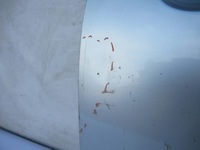 фото thumb №5, Двері праве suzuki swift mk6 3d