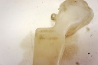 фото thumb №7, Mx061 subaru xv i 2.0d бак расширительный