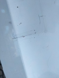 Tesla 3 iii бампер задний задняя pdc доставка с Разборки, фото thumb