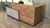 Стойка ресепшн R13 280х120см Art_R13069