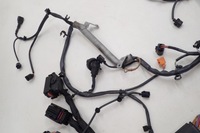 фото thumb №5, Audi a8 w12 6.3fsi жгут двигателя 4h1971713ba