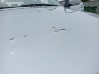 фото thumb №10, Капот кришка двигуна bmw 3 e46 sedan універсал