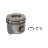 фото thumb №1, Поршень nural