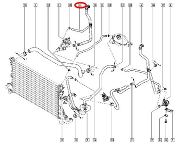фото thumb №10, Шланг резиновый системы охлаждение renault master iii 2.3d 02.10- thermotec