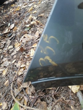 фото thumb №6, Бампер зад audi q3 рестайлінг pdc 8u0807385c