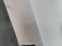 фото thumb №7, Audi a3 8p рестайлинг hb потолок