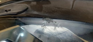 фото thumb №10, Volkswagen golf vii 2014 лампи передні