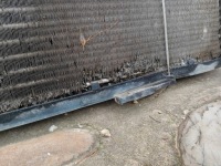 Mercedes w124 радіатор води 2.5d 250d дизель Оригінал, фото thumb