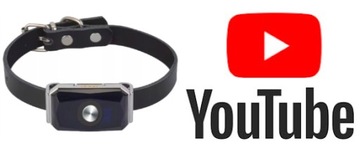SOLID GPS LOCALIZER для собак, кошек и домашних животных draVires_GPS01 Pol.Application