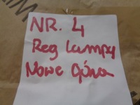 Ds3 crossback решітка решітка радіатора бампера передня нижня Зі Шроту, фото thumb