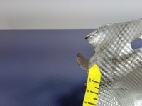 фото thumb №6, Renault clio v 1.0 tce защита тепловая 747510512r