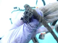 фото thumb №11, Жгут дверь левый перед audi a8 d4 4h eu