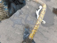 фото thumb №5, Iveco daily 2.3 2008r рессора перед 1 щетка