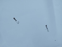 фото thumb №6, Капот nissan qashqai i j10 +2 lift 2010-2013 цвет 326 g оригинал лак