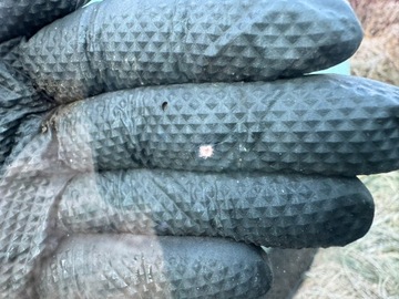 фото thumb №7, Скло передня лобове skoda octavia ii 2 рестайлінг 04-13