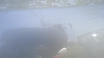 фото thumb №11, Opel astra h fl універсал двері зад лівий z167