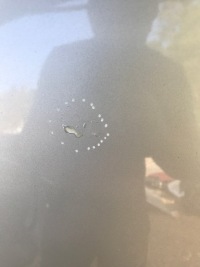 фото thumb №4, Капот кришка перед mercedes w220 744