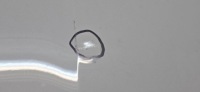 фото thumb №11, Капот audi a5 8w6823029