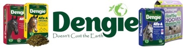 DENGIE мякина HI-FI Старшие лошади 20кг