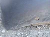 Бампер перед передній renault master 3 iii 2010- 620220006r Доставка, фото thumb