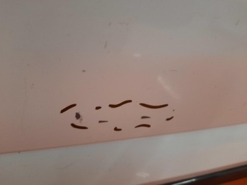 фото thumb №6, Volkswagen golf vii варіант 13-20 бампер зад задній 5g9807421