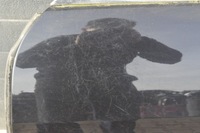 фото thumb №10, Maserati ghibli iii quattroporte дверь левый перед