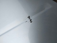 фото thumb №13, Капот audi a4 b6 01-05 cabrio цвет ly5s