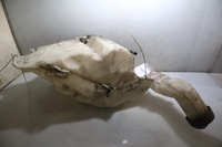 фото thumb №4, Бачок омивача scania r410