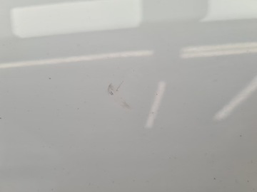 фото thumb №9, Opel zafira b дверь левый зад z40r