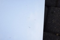 фото thumb №6, Audi a8 d3 lift капот кришка двигуна lx7w