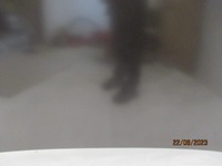 фото thumb №6, Peugeot 508 ii капот крышка двигателя новая