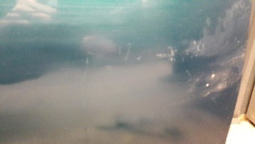 фото thumb №10, Двері праві перед bmw e36 sedan зелений compact