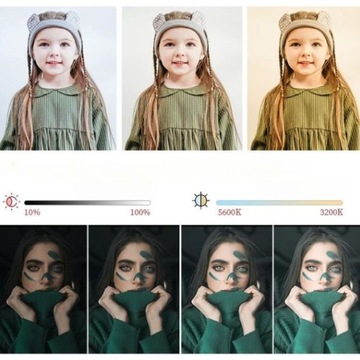 Фотографическая лампа в софтбоксе 50 x 70 см Штатив 180 см Лампа PILOT 45 Вт