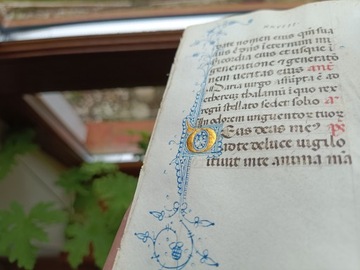 1450 r. Zdobiony złotem inicjał D ozdobiony roślinnym ornamentem
